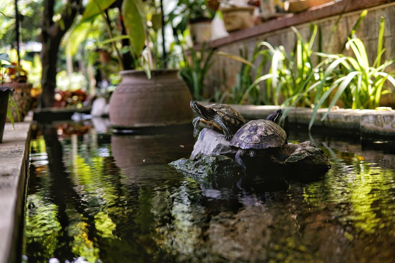 Отель Lani'S House By The Ponds Вьентьян Экстерьер фото